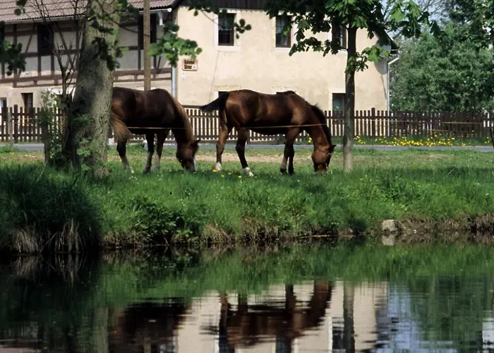 Zumpe Guest house 3*